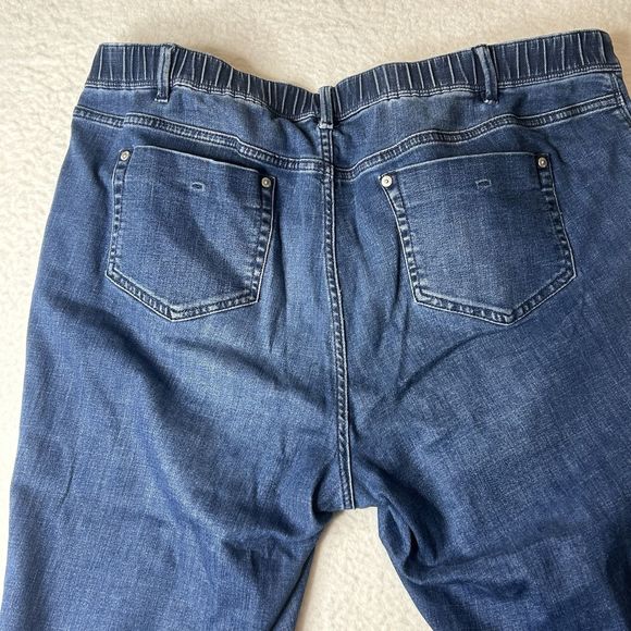 J Jill Womens Authentic Fit Slim Ankle Size 18 Blue Casual Norm Core - Picture 4 of 9